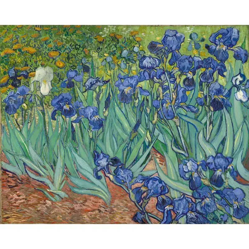 Peinture par numéro Tableaux Célèbres - Kit complet Colori'Num